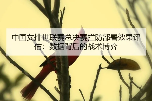 zhong-guo-nv-pai-shi-lian-sai-zong-jue-sai-lan-fang-bu-shu-xiao-guo-ping-gu-shu-ju-bei-hou-de-zhan-shu-bo-yi-2-544.jpg