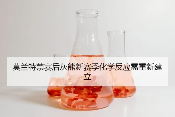 mo-lan-te-jin-sai-hou-hui-xiong-xin-sai-ji-hua-xue-fan-ying-xu-chong-xin-jian-li-3-982.jpg