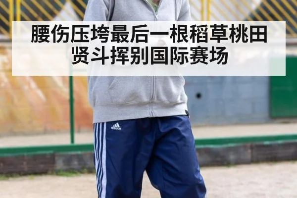 腰伤压垮最后一根稻草桃田贤斗挥别国际赛场